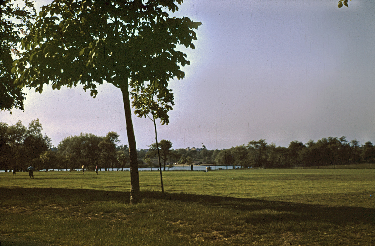 42-05-17, 11, Dusk at Allison Park