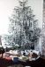 41-12-25, 01, Christmas Tree