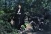 42-05-17, 07, Blanche Bruno at Allison Park