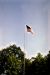 42-05-17, 09, 'Old Glory' at Allison Park