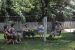 42-05-30, 13, Nana, Millie, Joe, Kate, Millred, Blanche