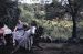 42-06-21, 02, Hennice, Dot, Alice