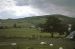 42-06-28, 06, Senic View at Libetry NJ