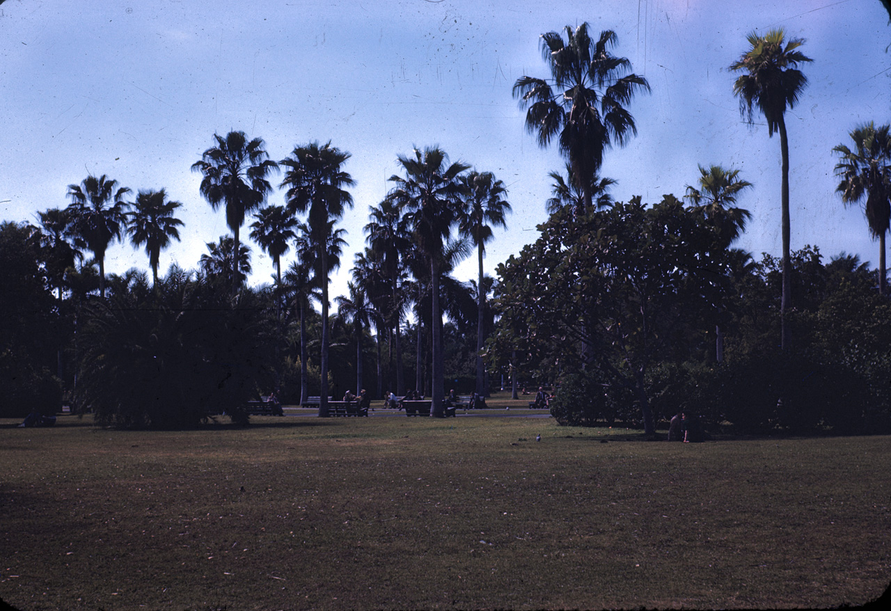 45-11-05, 63, Biscayne Park in Miami, Fla