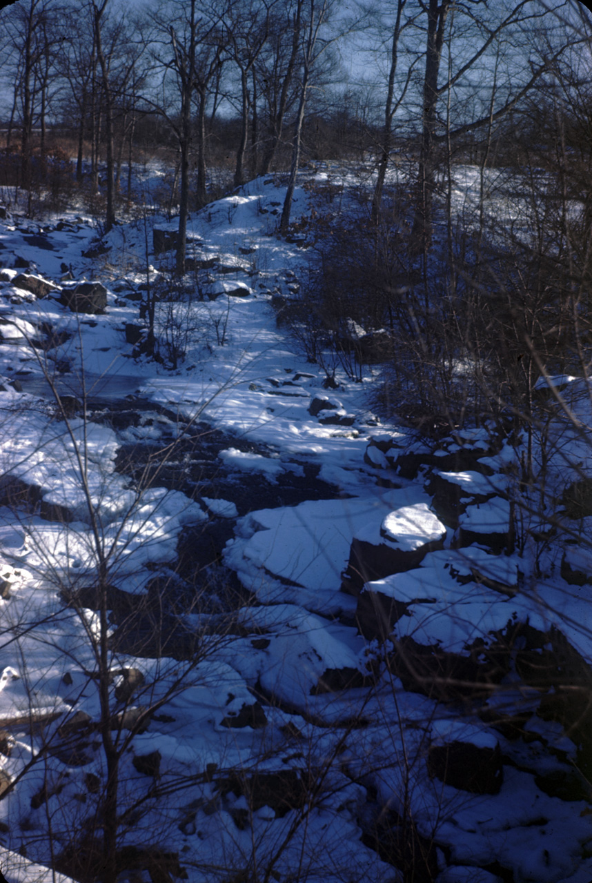 46-03-01, 01, Flat Rock Brook, NJ