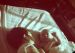 46-10-15, 04, Francis and Gerald Bruno