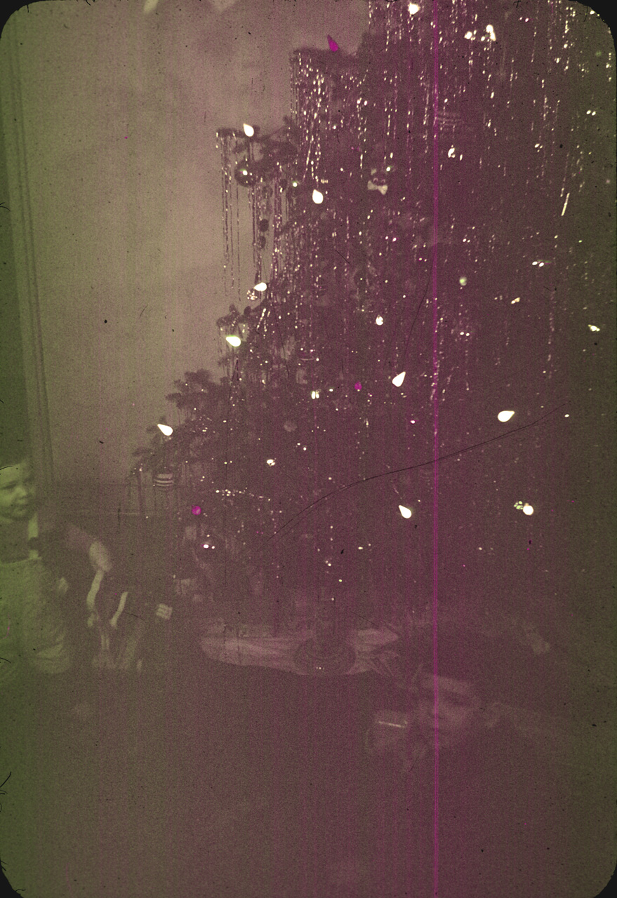 47-12-25, 03, Gerald and Francis, Christmas Tree