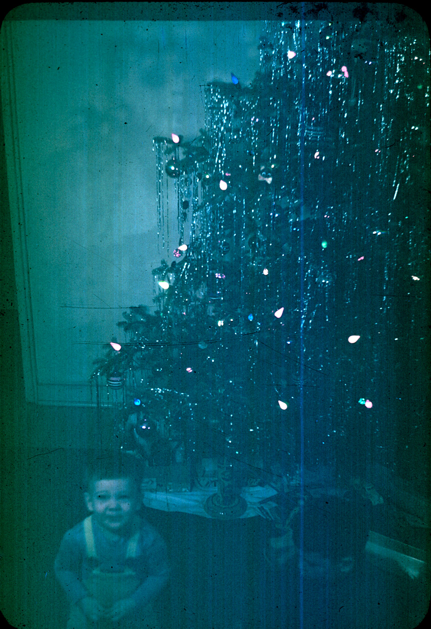 47-12-25, 04, Gerald and Francis, Christmas Tree