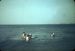 47-07-27, 16, Alice, Marie and Blanche