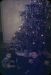 47-12-25, 02, Gerald and Francis, Christmas Tree