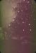 47-12-25, 03, Gerald and Francis, Christmas Tree