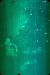 47-12-26, 02, Gerald, Christmas Tress