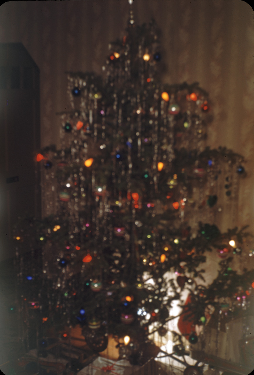 48-12-24, 05, Christmas Tree