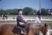 49-06-01, 03, Francis Bruno