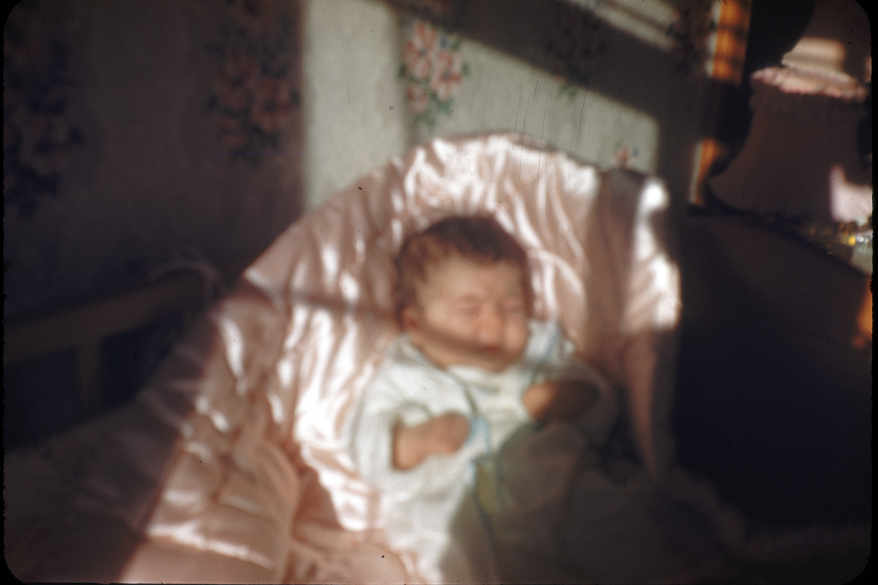 50-06-04, 01, Janice Bruno