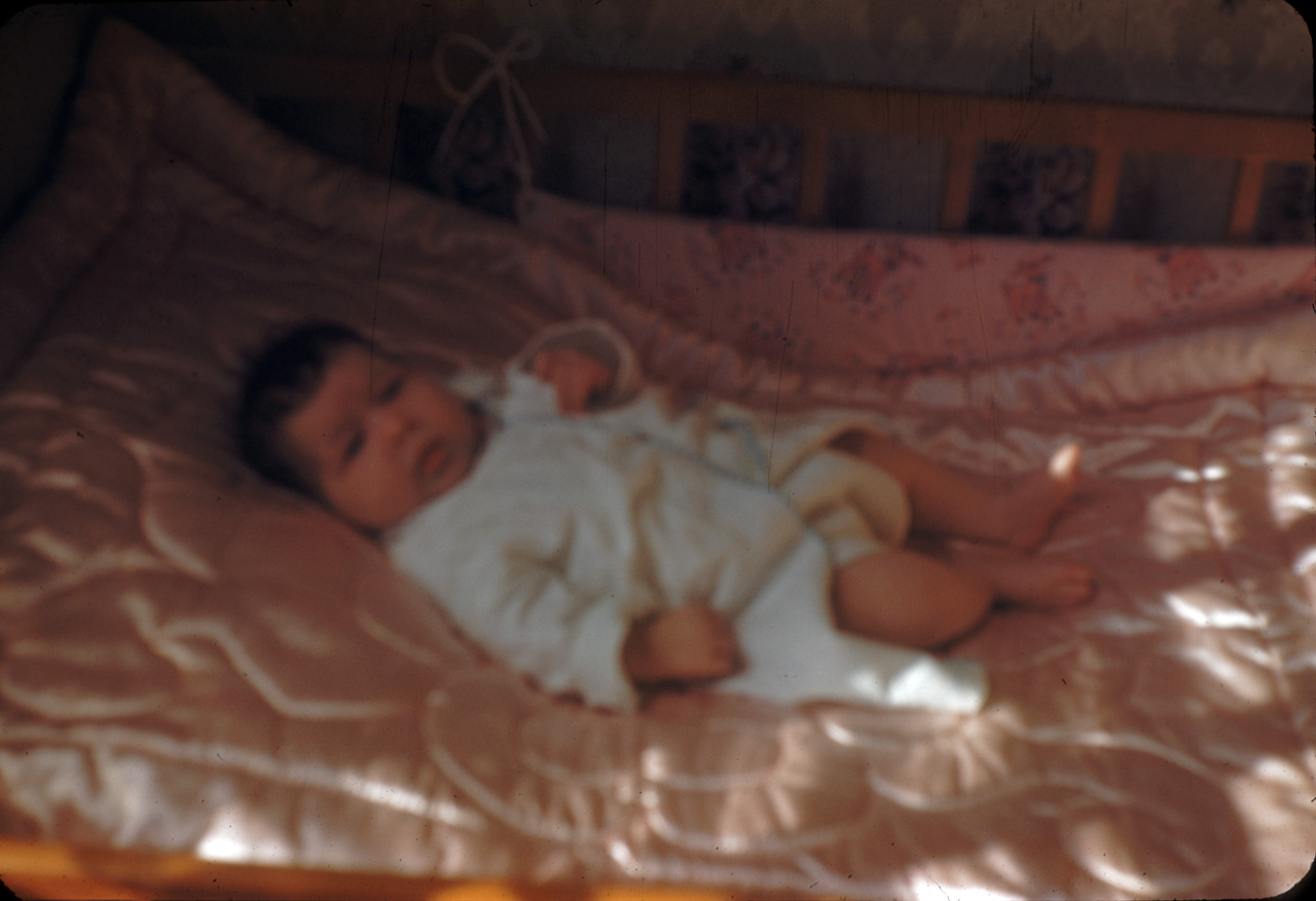 50-06-04, 03, Janice Bruno