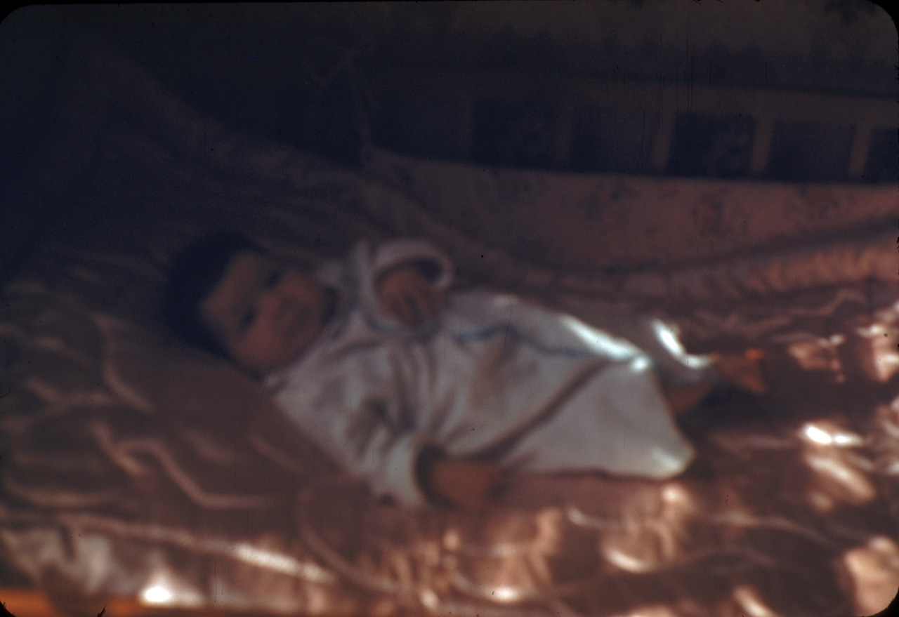 50-06-04, 04, Janice Bruno