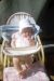 50-06-17, 02, Janice Bruno