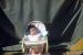 50-06-17, 05, Janice Bruno