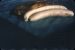 56-09-01, 04, Double Banana