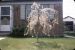 57-04-21, 01, Easter, Elmont NY