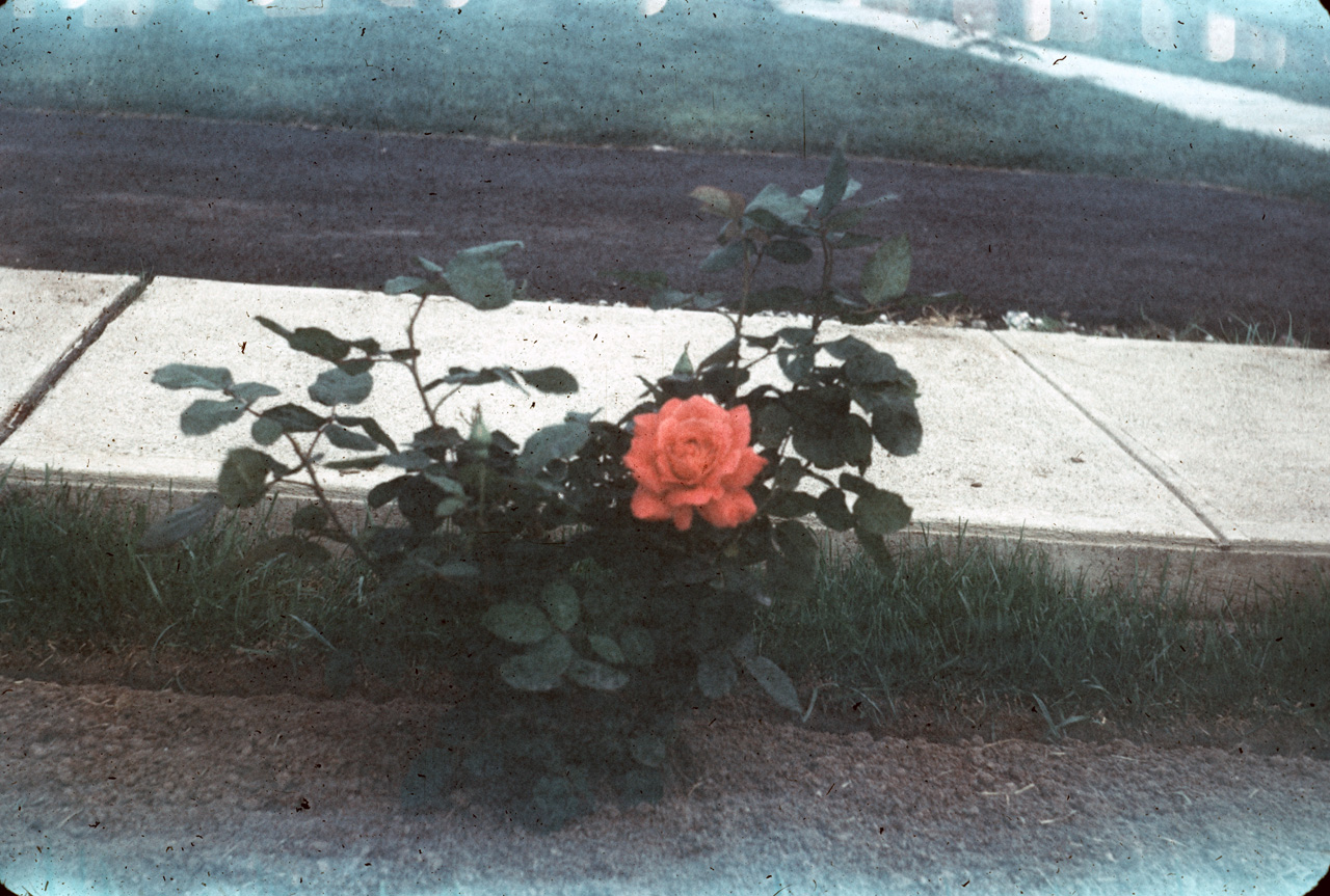 61-06-01, 06, 177 Colonial Ave, Saddle Brook, NJ