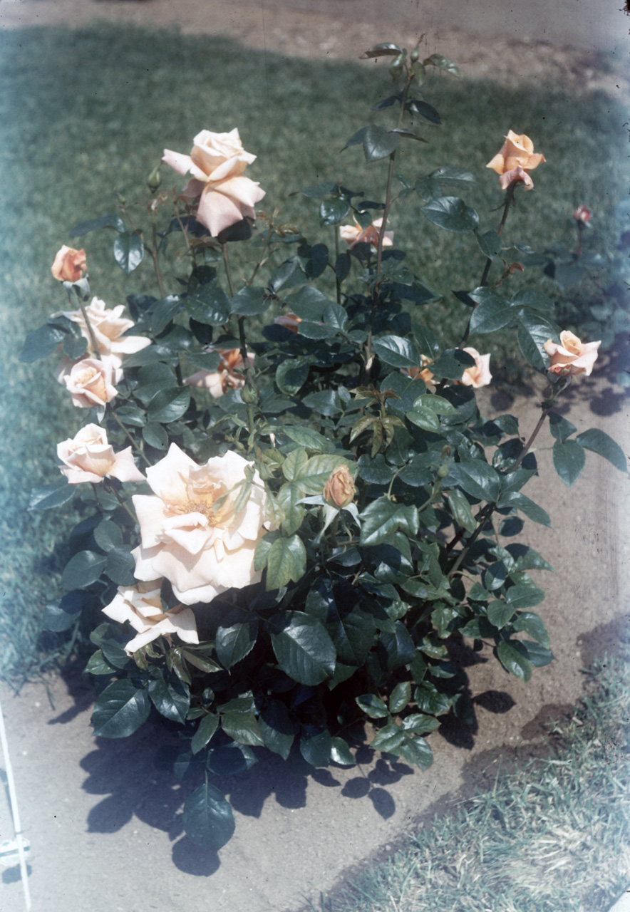 62-06-01, 05, 177 Colonial Ave, Saddle Brook, NJ