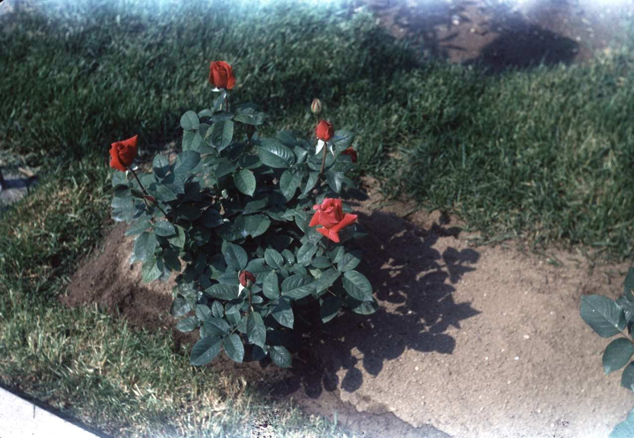 62-06-01, 06, 177 Colonial Ave, Saddle Brook, NJ