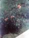 62-06-01, 04, 177 Colonial Ave, Saddle Brook, NJ