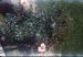 62-06-01, 07, 177 Colonial Ave, Saddle Brook, NJ