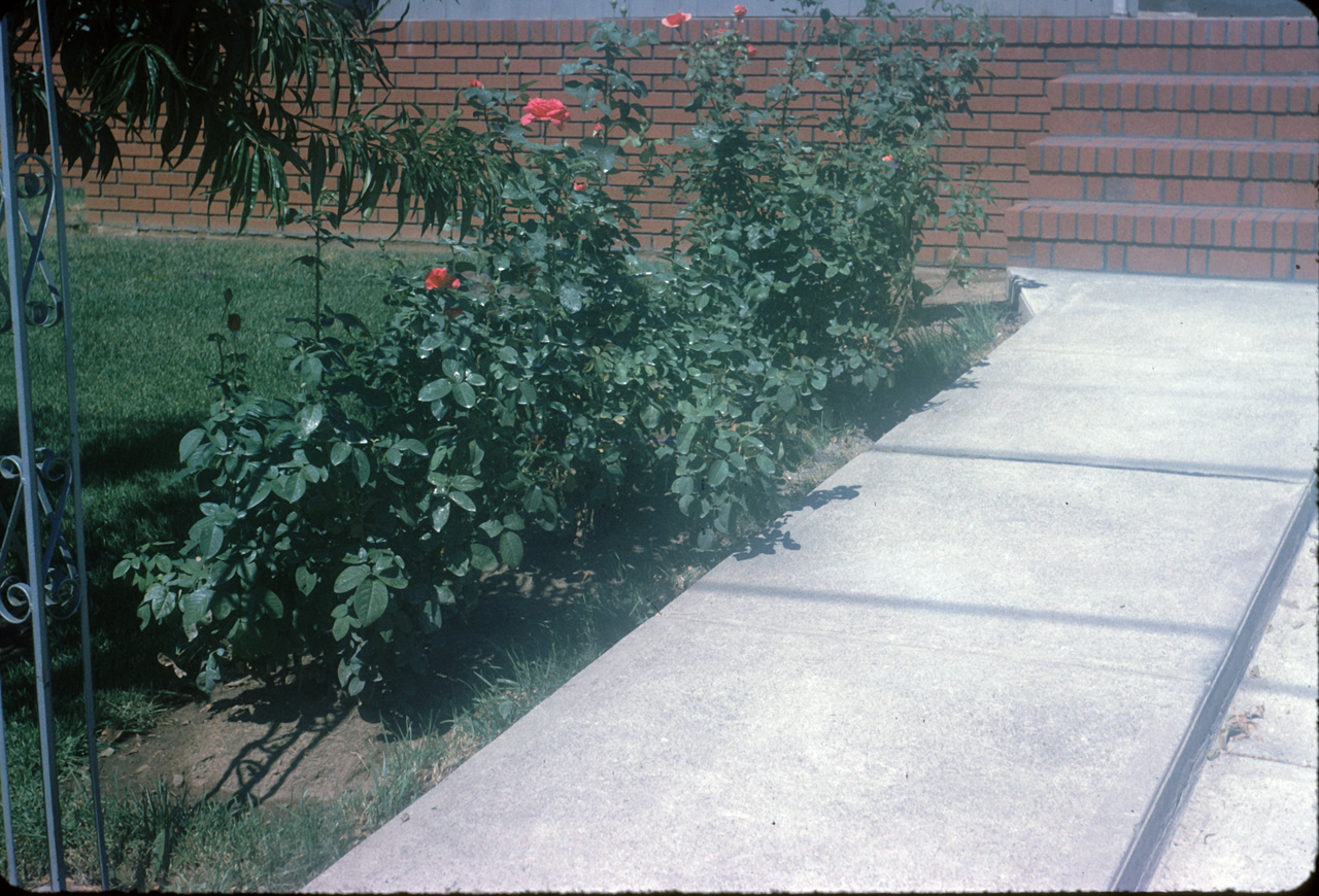 64-07-01, 02, 177 Colonial Ave, Saddle Brook, NJ