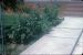 64-07-01, 02, 177 Colonial Ave, Saddle Brook, NJ