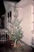64-12-20, 01, Christmas, Saddle Brook, NJ