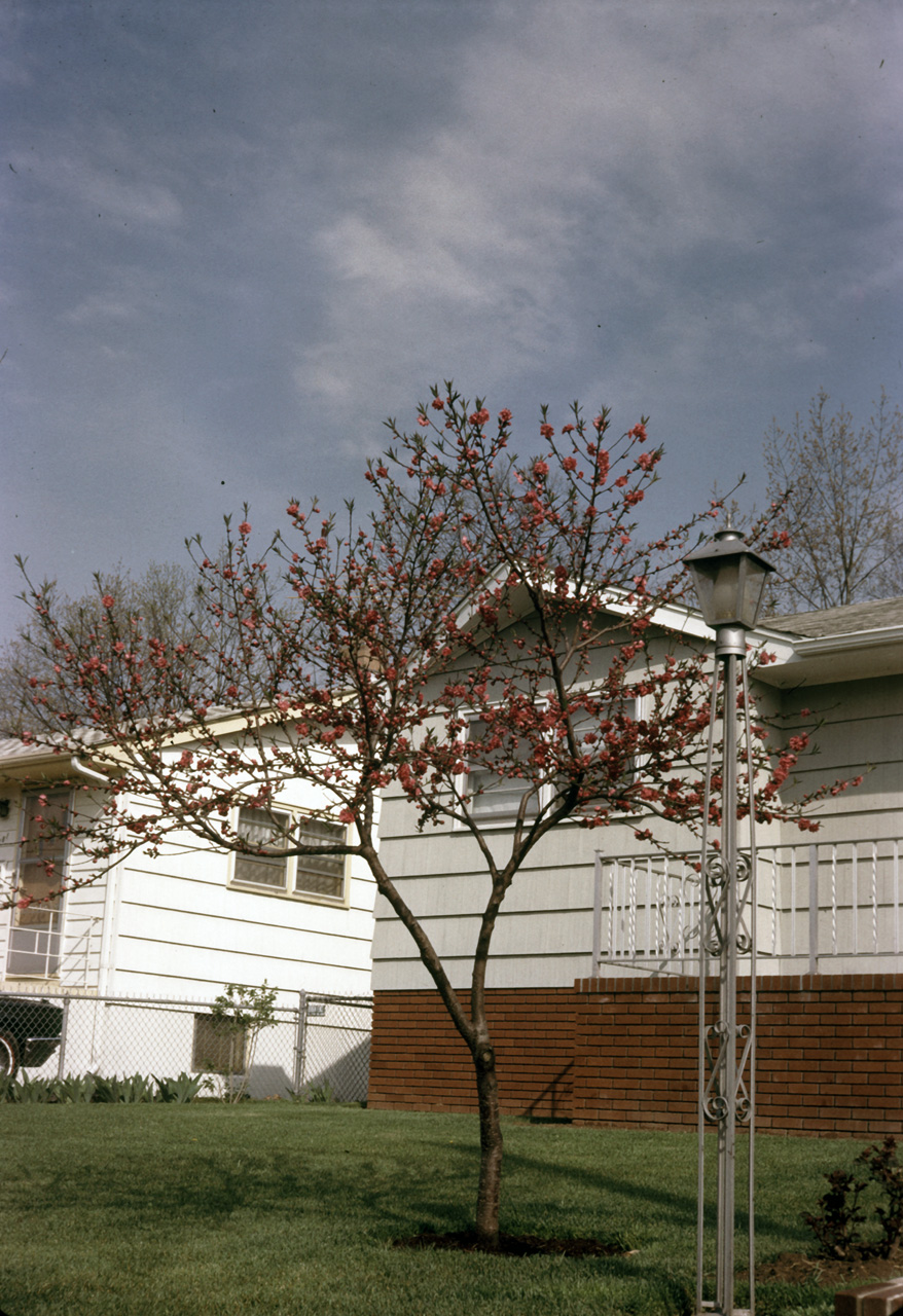 65-05-01, 01, Spring, Saddle Brook, NJ