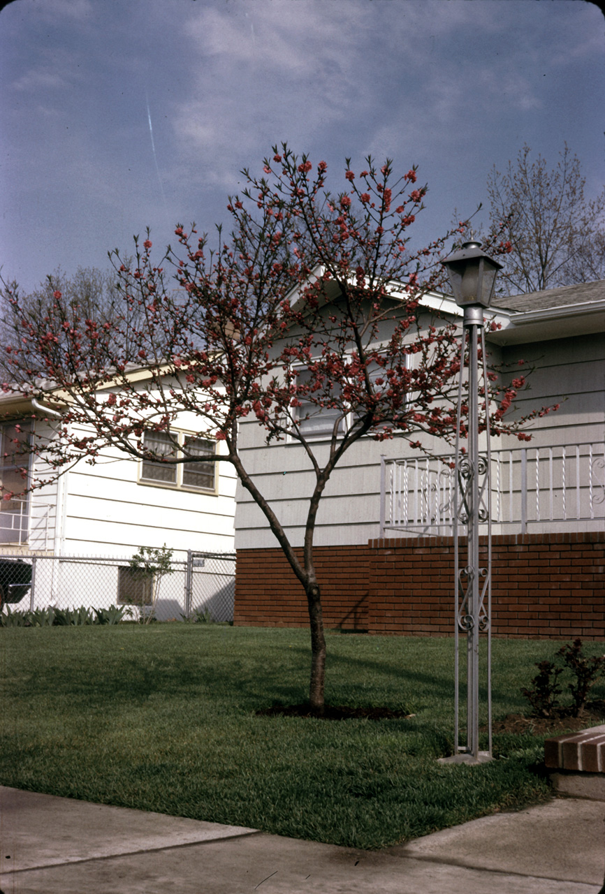 65-05-01, 02, Spring, Saddle Brook, NJ