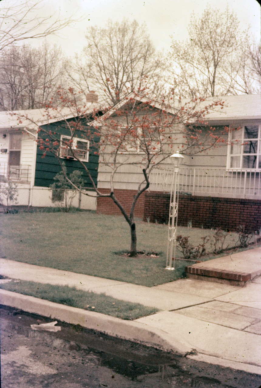 65-06-01, 03, 177 Colonial Ave, Saddle Brook, NJ
