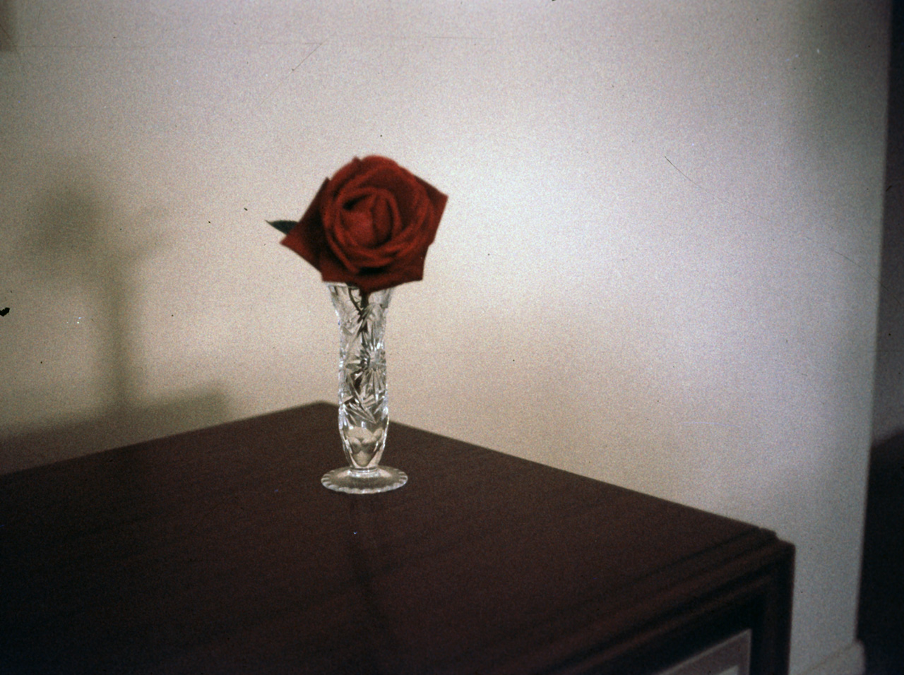 66-06-01, 02, Rose, Saddle Brook, NJ