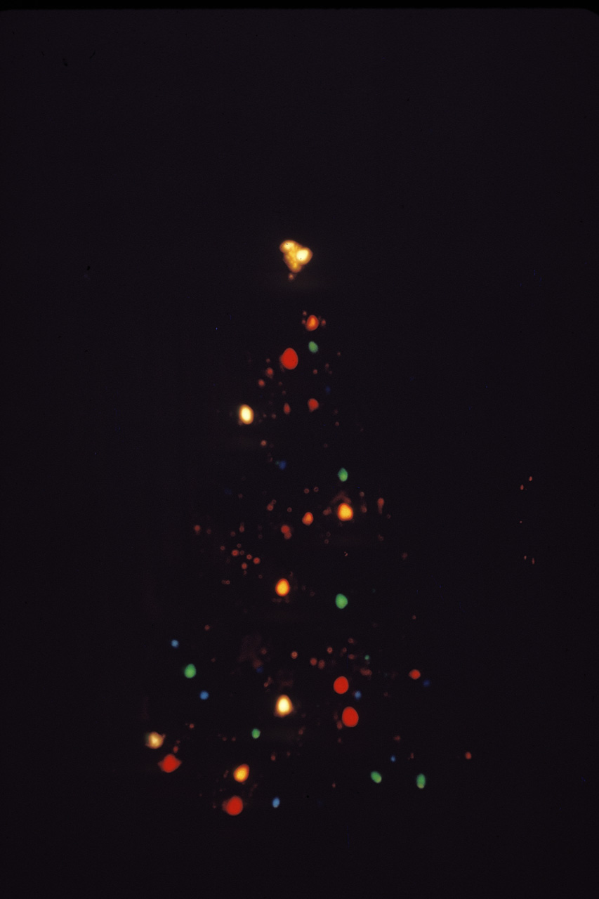66-12-25, 03, Christmas, Saddle Brook, NJ