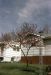 65-05-01, 01, Spring, Saddle Brook, NJ