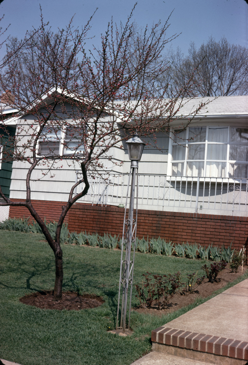 68-04-14, 05, 177 Colonial Ave, Saddle Brook, NJ