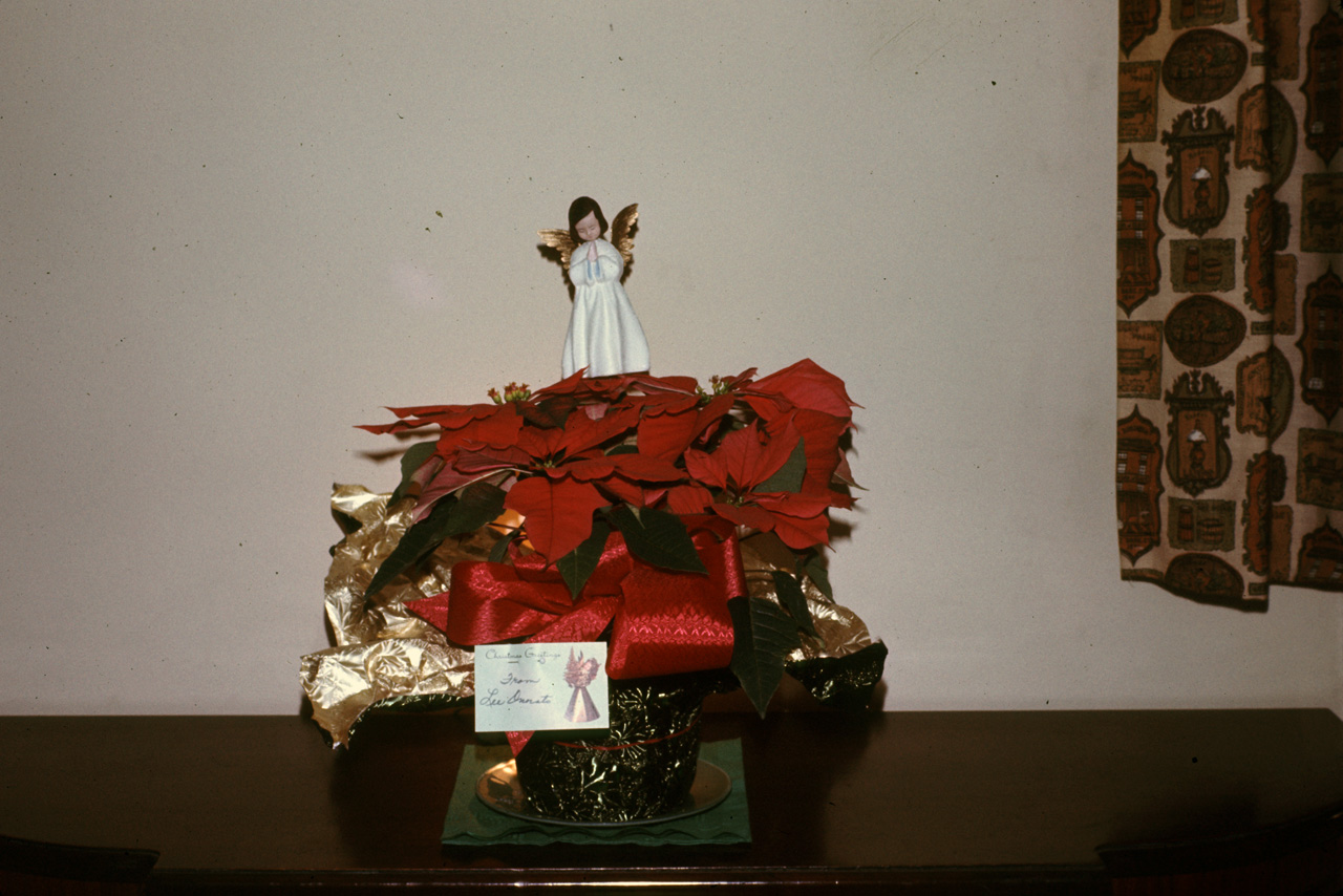 1973-01-01, 001, The Bruno's