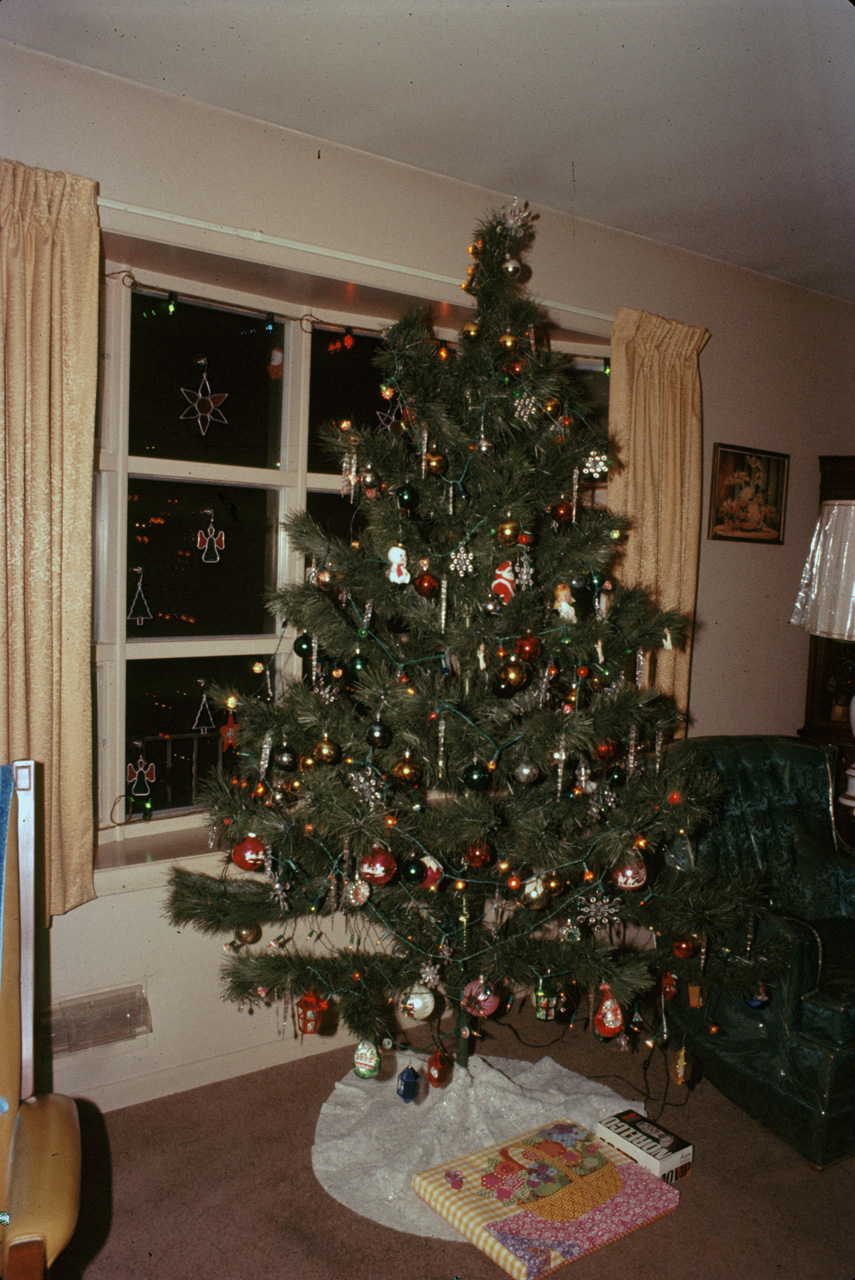 1973-01-01, 003, The Bruno's