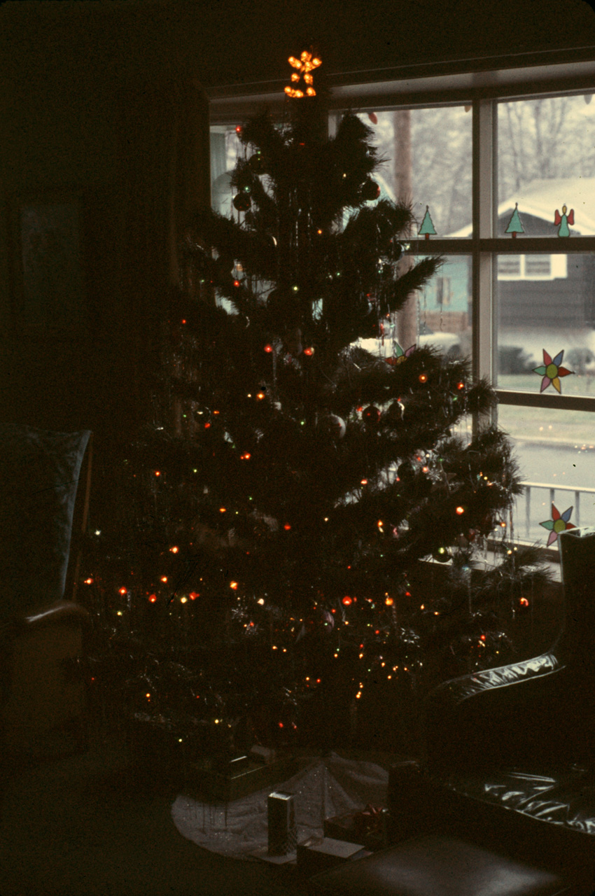 1973-01-01, 005, The Bruno's